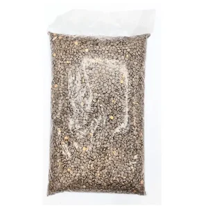 Masoor Whole - مسور ثابت