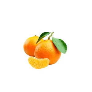 ORANGE (Dozen) Faisalabad price