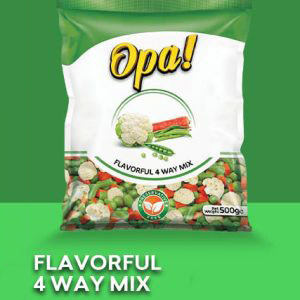 OPA Flavorful 4 Way Mix (500 gm)